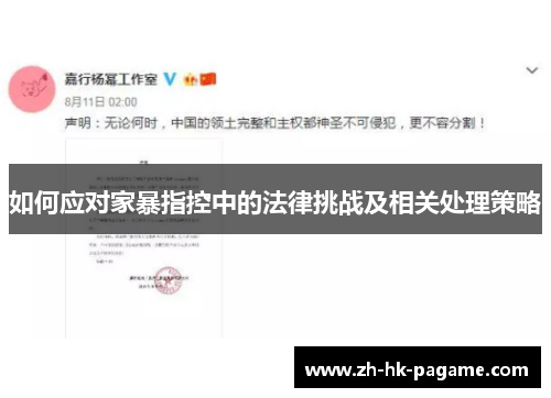 如何应对家暴指控中的法律挑战及相关处理策略
