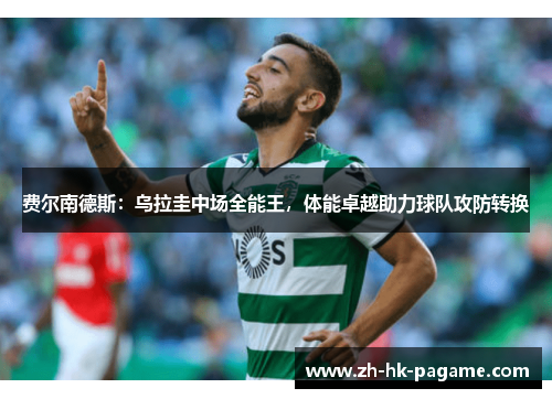 费尔南德斯:乌拉圭中场全能王,体能卓越助力球队攻防转换 费尔南德斯:乌拉圭中场全能王,体能卓越助力球队攻防转换