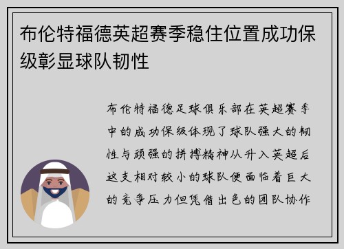 布伦特福德英超赛季稳住位置成功保级彰显球队韧性
