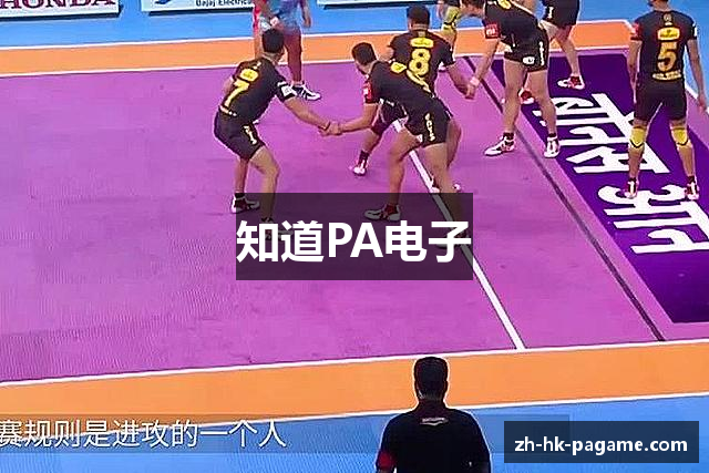 知道PA电子